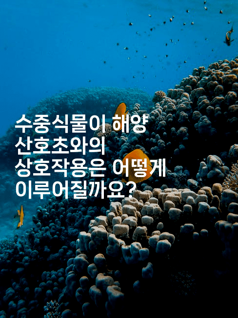 수중식물이 해양 산호초와의 상호작용은 어떻게 이루어질까요?