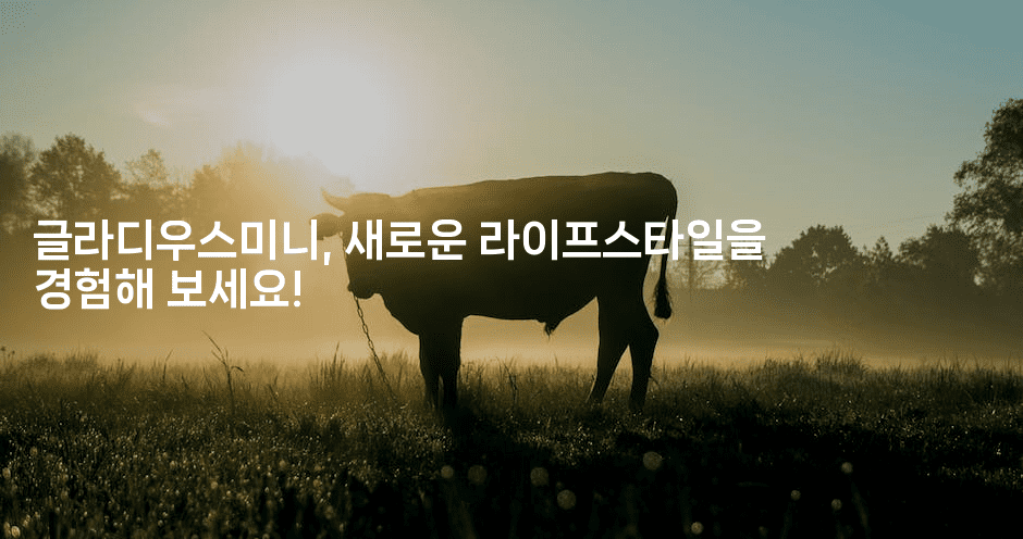 글라디우스미니, 새로운 라이프스타일을 경험해 보세요!2-해바리움