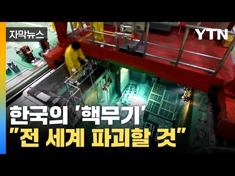 [자막뉴스] "한국 핵무장, 전 세계 소프트파워 파괴" 강력한 경고 / YTN