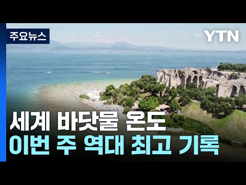 세계 바닷물 온도 역대 최고…해양 생태계 '신음' / YTN
