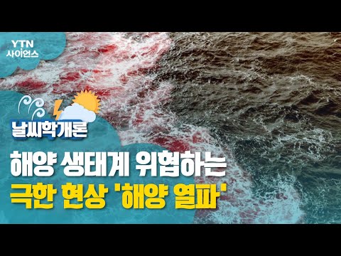 [날씨학개론] 해양 생태계 위협하는 극한 현상 '해양 열파' / YTN 사이언스