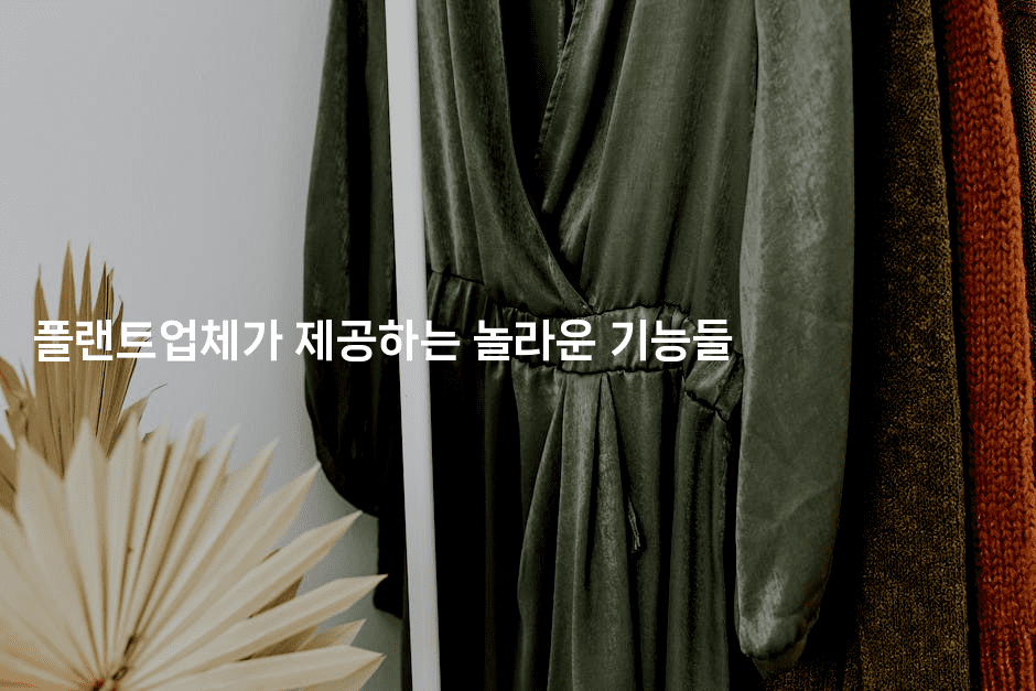 플랜트업체가 제공하는 놀라운 기능들-해바리움