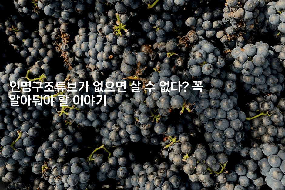 인명구조튜브가 없으면 살 수 없다? 꼭 알아둬야 할 이야기2-해바리움