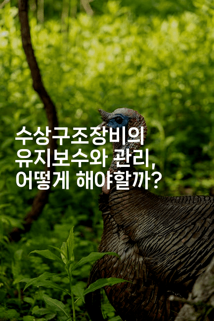 수상구조장비의 유지보수와 관리, 어떻게 해야할까?2-해바리움