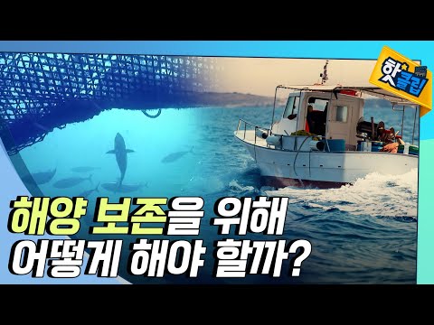 [핫클립] 지속가능한 해양 보존을 위해 해야할 일 / YTN 사이언스