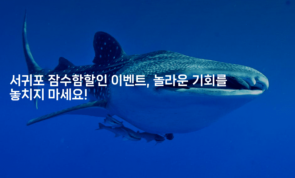 서귀포 잠수함할인 이벤트, 놀라운 기회를 놓치지 마세요!-해바리움