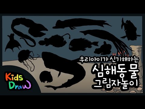 우리 아이가 신기해하는 심해동물 그림자 놀이 | 심해생물 퀴즈 맞추기 | 11가지 바다 속 심해 친구들을 만나보아요 | Deep Sea Animal Quiz for Children