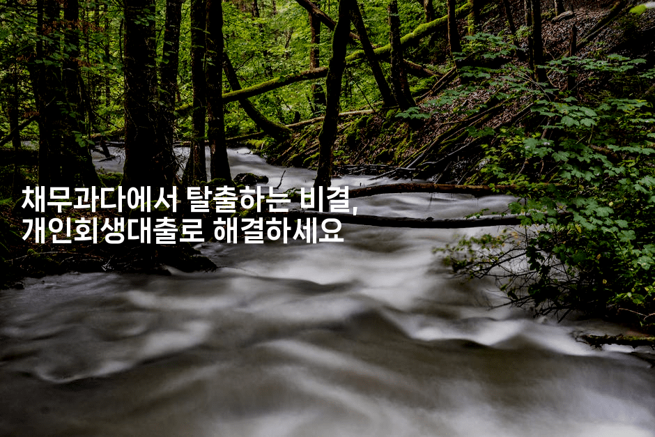 채무과다에서 탈출하는 비결, 개인회생대출로 해결하세요-해바리움