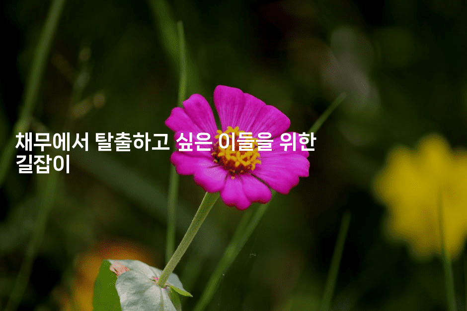 채무에서 탈출하고 싶은 이들을 위한 길잡이-해바리움