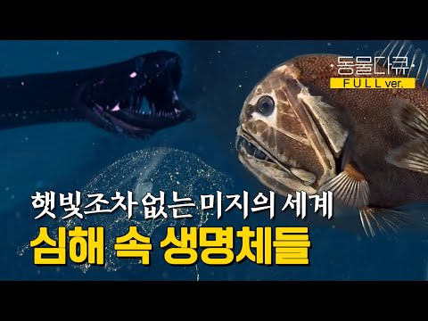 [풀버전] 희망과 절망이 교차하는 최후의 탐사, 그리고 심해에서 발견된 신비로운 생명체? l 최초 탐사 남태평양 심해를 가다 l KBS 스페셜 110605 방송