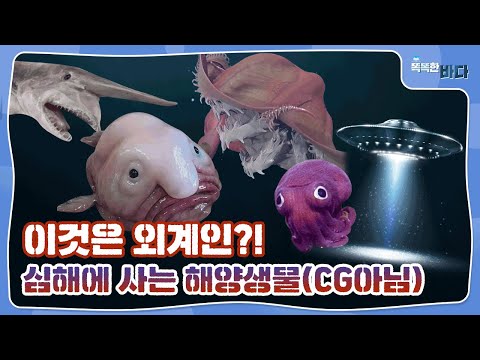 이것은 외계인?! 심해에 사는 해양생물(CG아님)