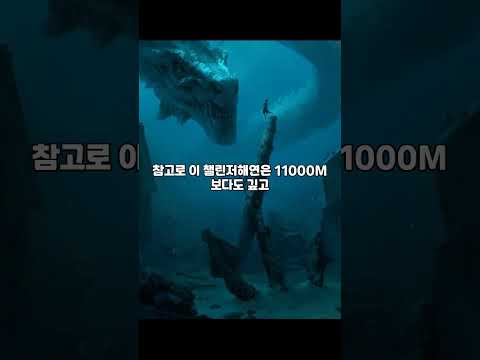 마리아나 해구 11000미터에서 실제로 발견된 물체 ㄷㄷ