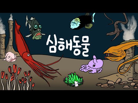 심해동물 | 깊은 바다속에는 어떤 물고기들이 살고 있을까? | 심해에 사는 친구들을 만나보아요 | 초롱아귀, 꿀꺽장어, 대왕오징어