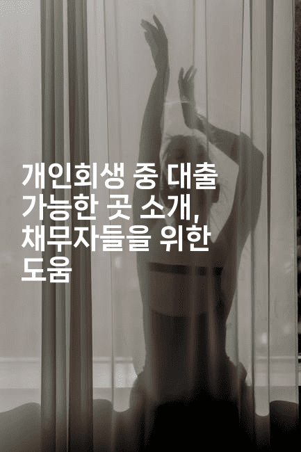 개인회생 중 대출 가능한 곳 소개, 채무자들을 위한 도움-해바리움