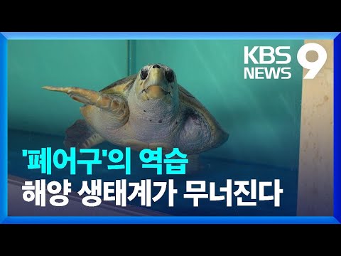 바닷속 흉기 폐어구…해양생태계가 무너진다 [심층] [9시 뉴스] / KBS  2024.09.10.