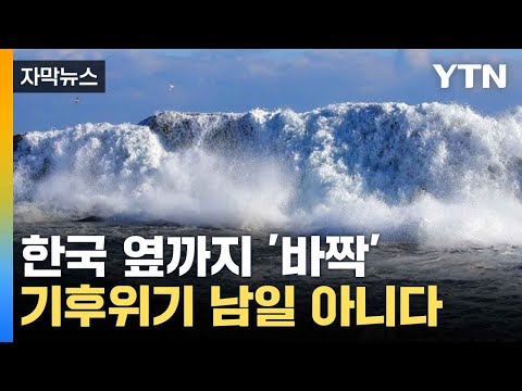 [자막뉴스] 기후위기 한국 옆까지...심각한 해양 생태계 / YTN