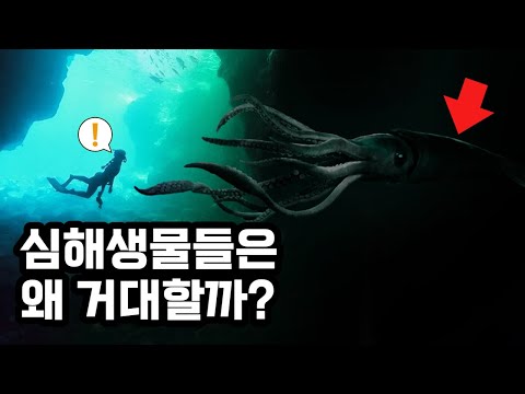 심해의 거대동물들(심해거대증)