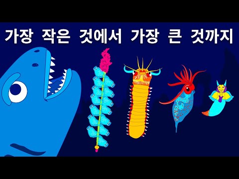 바다가 미지의 세계임을 증명하는 생물 50여 가지