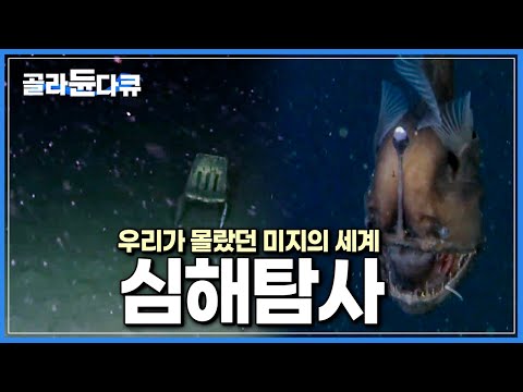 전세계는 지금 주인 없는 바다를 노리고 있다.|당신이 몰랐던, 현재 심해에서 일어나고 있는 일|과학다큐 비욘드|#골라듄다큐