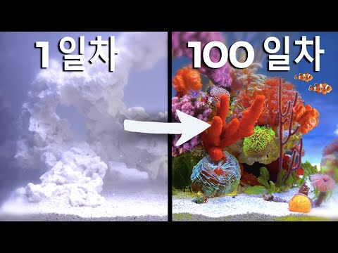 100일 동안 만든 제 작은 바다를 소개합니다