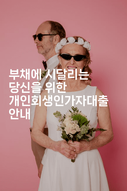 부채에 시달리는 당신을 위한 개인회생인가자대출 안내-해바리움