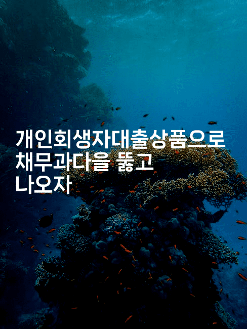 개인회생자대출상품으로 채무과다을 뚫고 나오자-해바리움