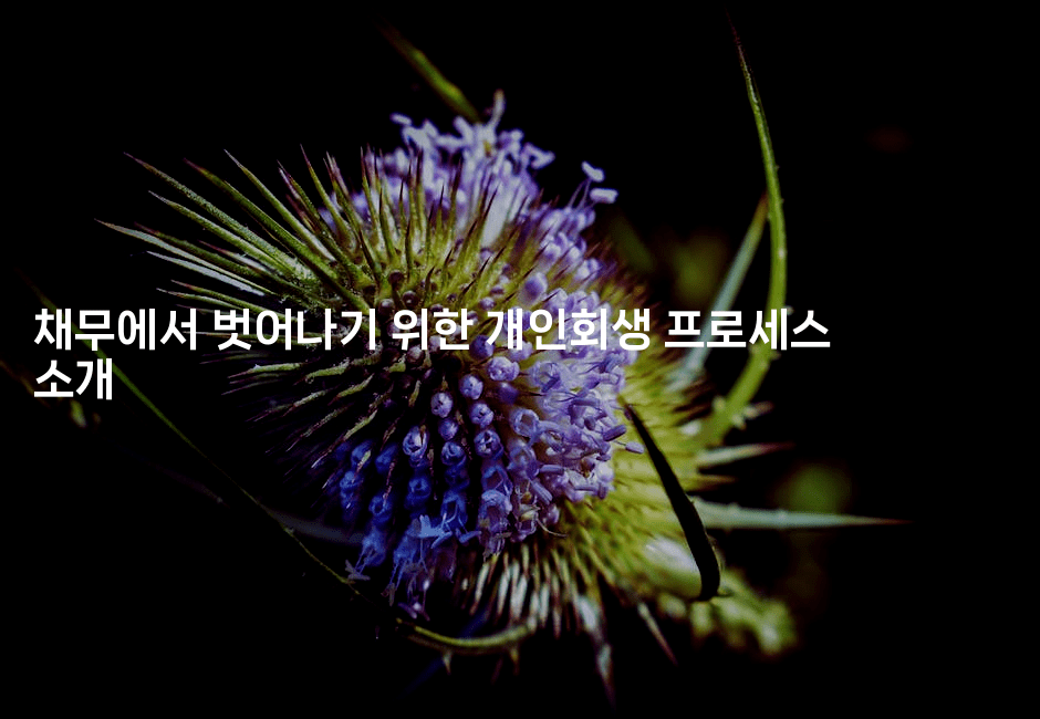 채무에서 벗어나기 위한 개인회생 프로세스 소개-해바리움