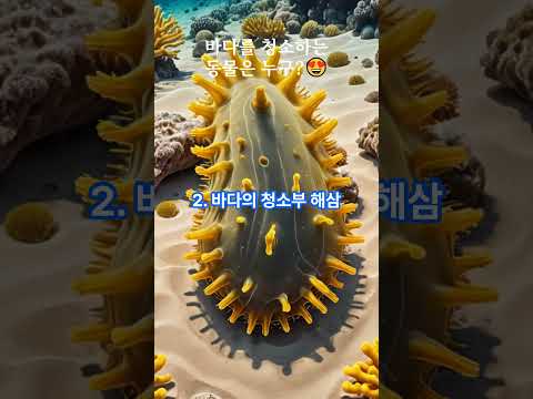 바다를 정화시키는 동물TOP4 #심해동물 #바다동물 #해양생물