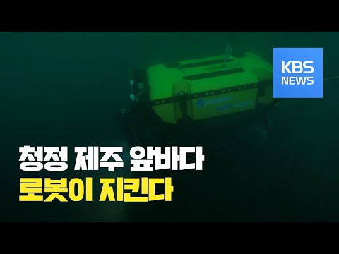 전국 첫 수중로봇 해양 생태계 조사 제주서 시작 / KBS뉴스(News)