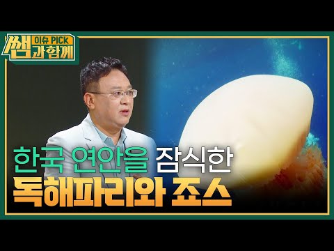 심상치 않은 해양생태계, 바다의 경고! [이슈 픽 쌤과 함께] | KBS 240929 방송