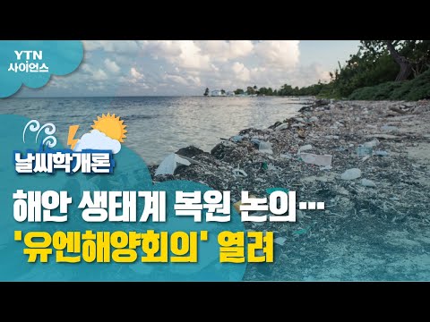 [날씨학개론] 해안 생태계 복원 논의…'유엔해양회의' 열려 / YTN 사이언스