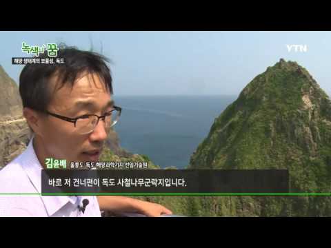 [녹색의 꿈] - 해양 생태계의 보물섬, 독도 / YTN DMB