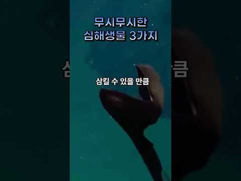 심해에 살고 있는 무시무시한 생물들