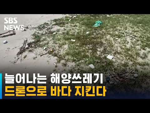 해양생태계, 드론으로 지킨다 / SBS