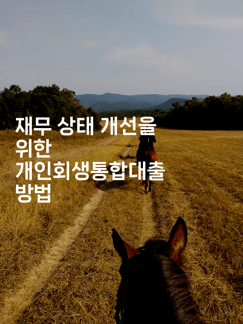 재무 상태 개선을 위한 개인회생통합대출 방법-해바리움