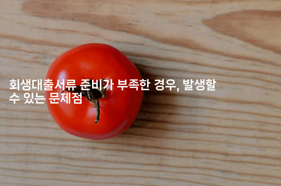 회생대출서류 준비가 부족한 경우, 발생할 수 있는 문제점-해바리움