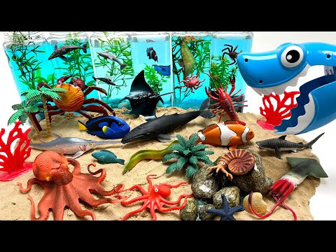 Sea Ocean Diorama For Sea Animals 물병 이용해 바다동물 바다 속 꾸미기 고래 상어 문어 가오리