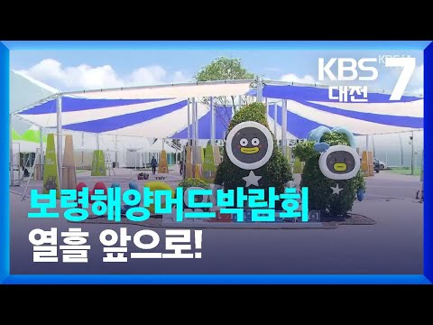 보령해양머드박람회 열흘 앞으로! / KBS  2022.07.06.