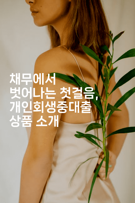 채무에서 벗어나는 첫걸음, 개인회생중대출 상품 소개-해바리움